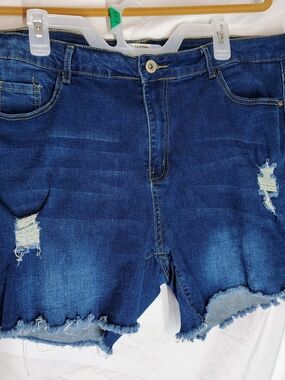Women’s Distressed Denim Shorts Plus Size Vintage California